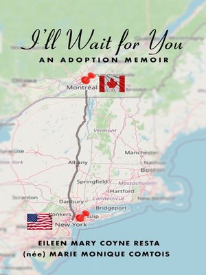 cover image of I'll Wait For You